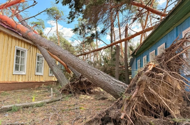 Власти амурского Белогорска решили не восстанавливать детский лагерь после урагана