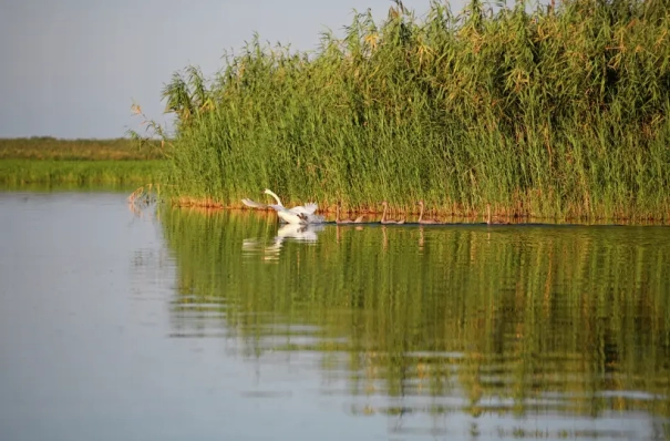 Астраханская область получила 2 млрд рублей на экологические мероприятия