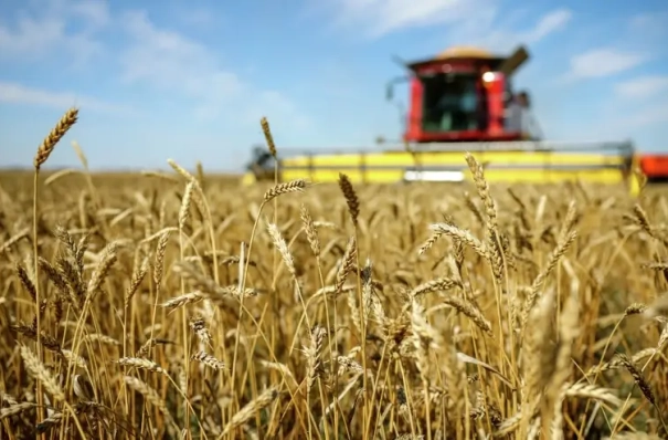 Аграрии в Рязанской области в 2025г получили почти 2,5 млрд руб. господдержки