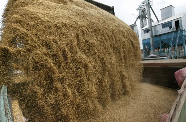 Башкирия запустит госпрограмму по закупке зерносушильных комплексов