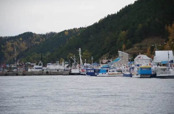 Запрет на вылов байкальского омуля может быть снят в ближайшие годы - Росрыболовство