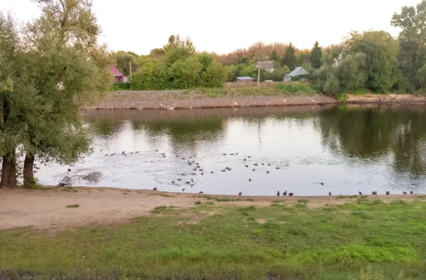 Три региона получат дополнительно 135 млн руб. на улучшение состояния водоемов