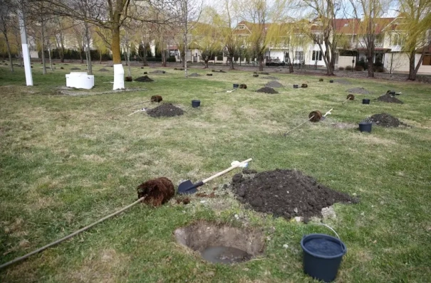 Число школьных садов вырастет на Ставрополье - губернатор