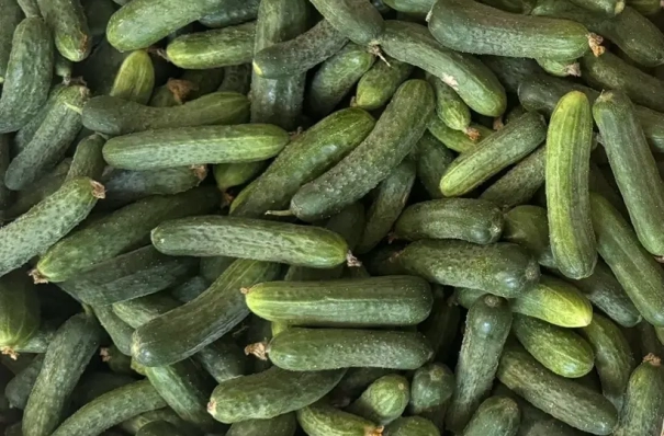 Тюменца подозревают в краже из магазинов более 1 т огурцов и 400 кг бананов