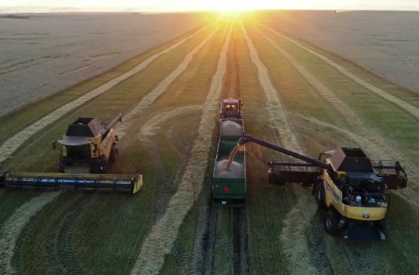 РФ уже собрала 130 млн т зерна - Лут