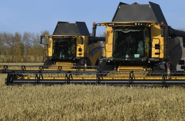 Челябинская область в 2025г собрала почти 2,3 млн т зерна