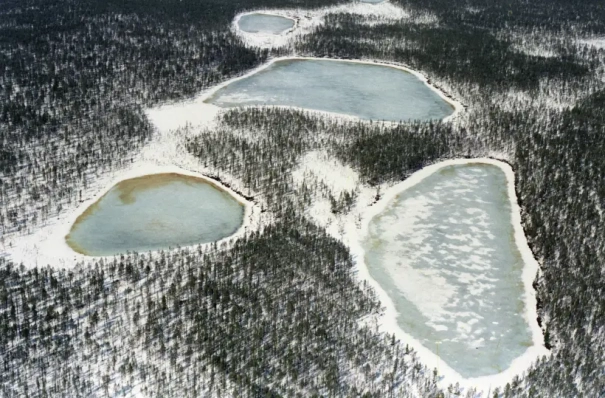 Шесть заказников и памятников природы создадут в ХМАО к 2036 году