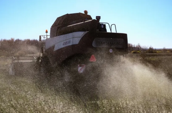 Режим ЧС введен в восьми районах Новосибирской области