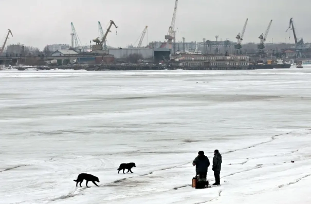 ФАС предлагает расширить перечень морпортов Крайнего Севера, тарифы которых могут регулировать регионы