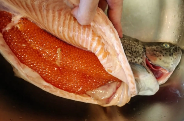 Путин: удешевление доставки рыбы с ДВ в центр РФ улучшит обеспечение россиян