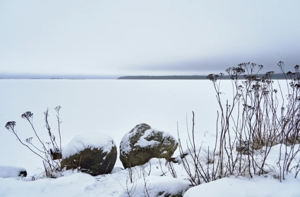 Ладожское озеро полностью замерзло