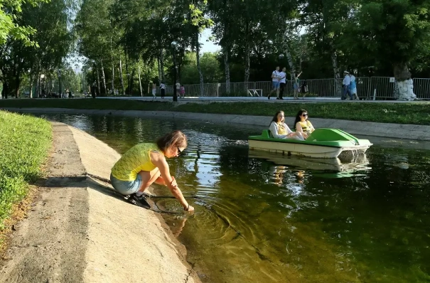 Более 210 территорий благоустроят в Самарской области в 2026 году по нацпроекту