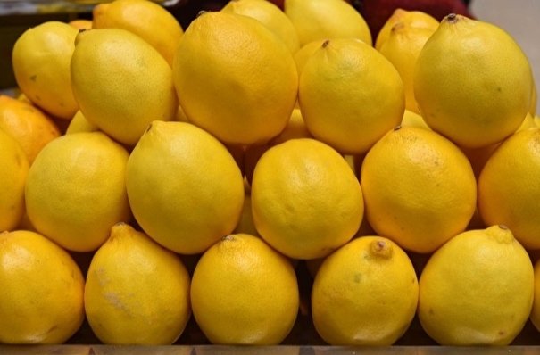 Ввоз лимонов в Новосибирскую область вырос в 20 раз