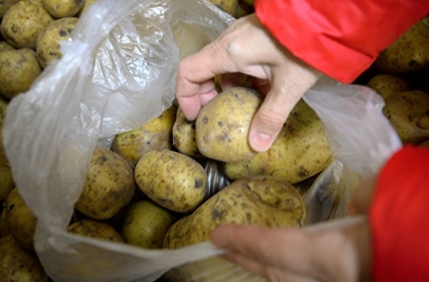 Сухпаек из 5 картофелин и двух сосисок выдали малоимущим школьникам в Карелии
