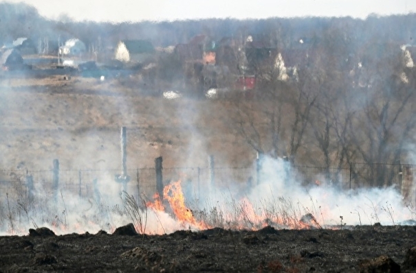 Поджог мог стать причиной первого лесного пожара в Иркутской области