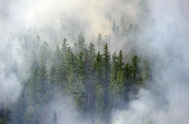 В Красноярском крае горит более тысячи гектаров тайги