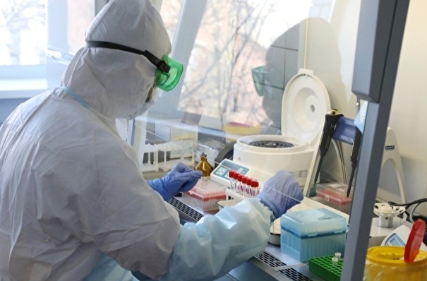 В Красноярском крае разрешили делать платные тесты на коронавирус всем желающим