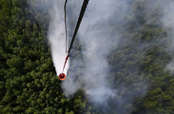 Более 90 лесных пожаров на площади 60 тыс. га тушат в России