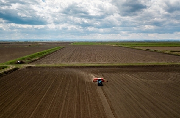 Аграрии РФ готовятся к жаркому лету, на юге начинают подсчитывать потери