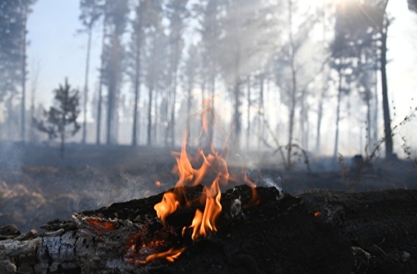 Природный пожар пришел в Приамурье из Забайкалья и бушует в районе крупного поселка