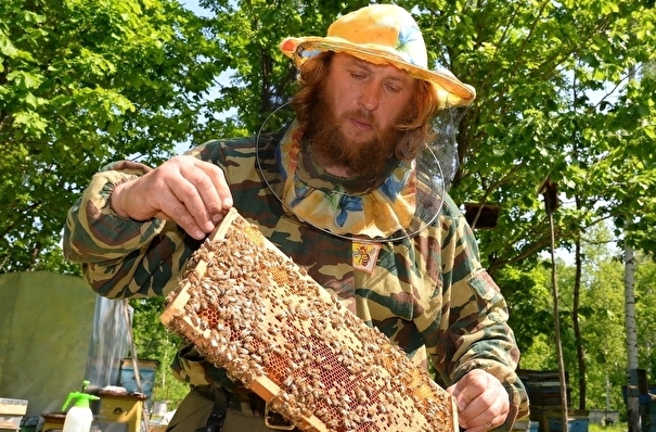 Пчеловод из Хабаровского края, который открыл свое дело на "дальневосточном гектаре", выходит на международный рынок