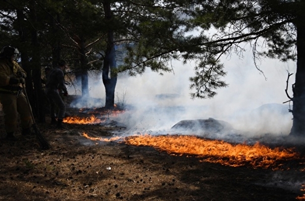 Более 4 тыс. га лесных угодий горит в Забайкалье