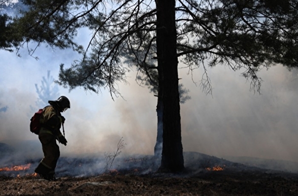 Площадь лесных пожаров в РФ  уменьшилась почти в 6 раз