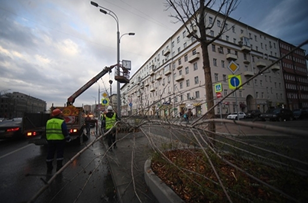Шторм нарушил энергоснабжение и повалил деревья в Барнауле