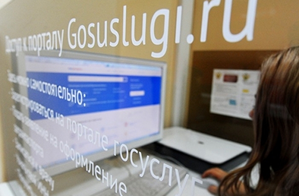 В Прикамье разрешили кандидатам в губернаторы собирать подписи через "Госуслуги"