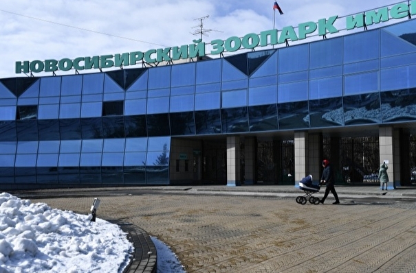 Новосибирский зоопарк после открытия будет работать с ограничениями