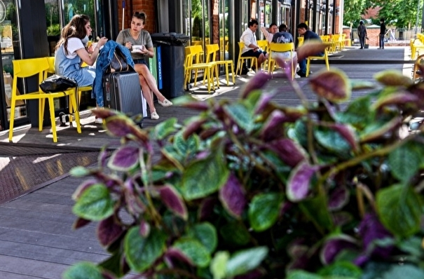 Уличные кафе и рестораны заработают с 23 июня во Владимирской области