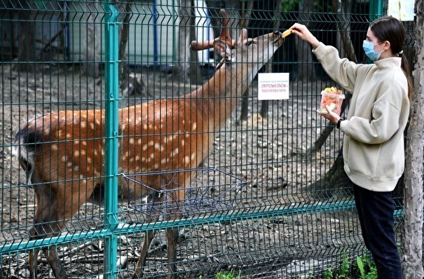 Музеи и зоопарк открывают в Новосибирской области