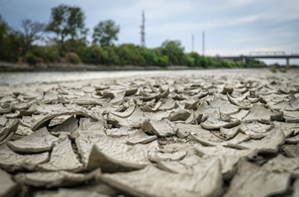 Дефицит воды из-за аномальной жары отмечен в Челябинской области