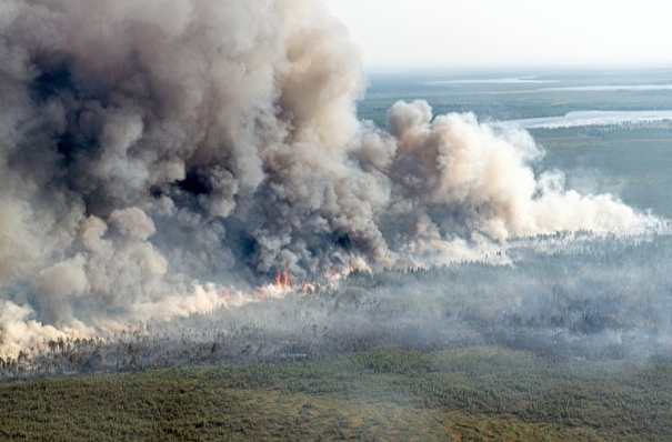 Дым от лесных пожаров в ХМАО дотянулся до Свердловской области