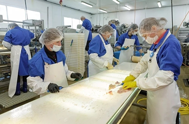 ГК Доброфлот вложила 250 млн руб. в завод рыбопродукции в Туле