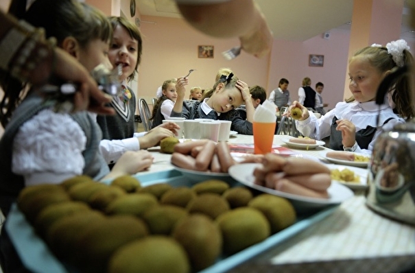 Учеников 1-4 классов в Тамбовской области обеспечат горячим питанием