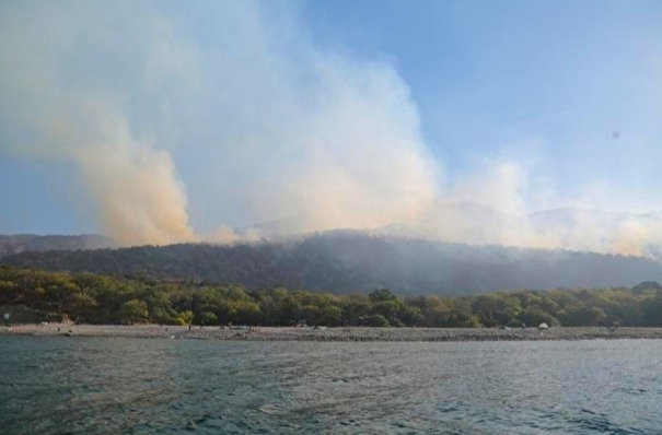 Около тысячи туристов эвакуированы из горящего леса под Анапой