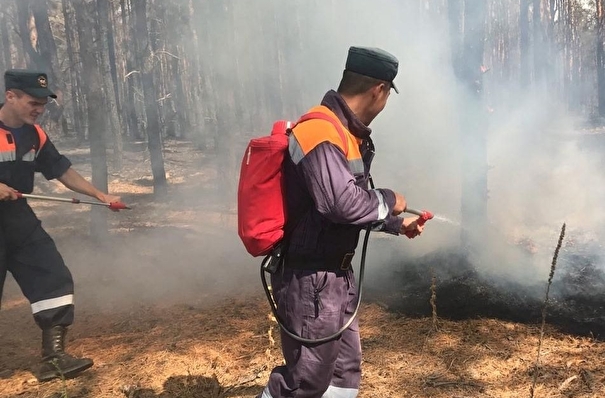 Крупный природный пожар локализован в Ростовской области