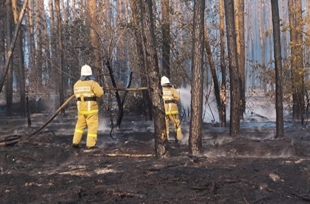Природный пожар у воронежского поселка Лушниковка локализован на площади 130 га