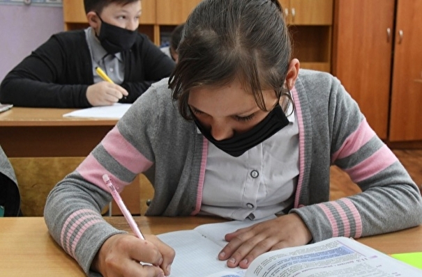 Киришскую гимназию в Ленобласти переводят на дистанционное обучение из-за подозрения на коронавирус у учеников