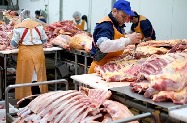 Псковская область занимает второе место на Северо-Западе по производству мяса