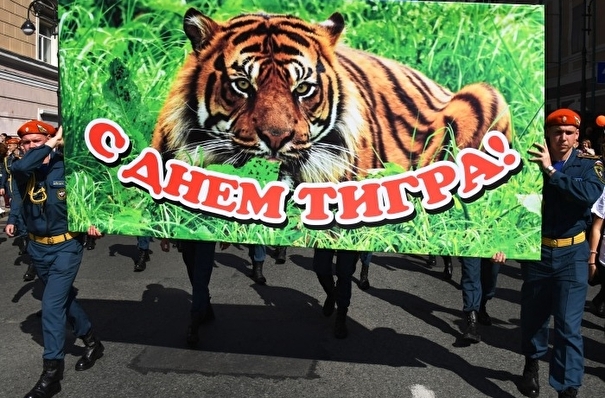 День тигра во Владивостоке 27 сентября отметят без традиционного шествия
