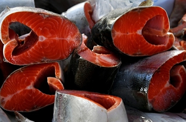 Улов лососей в РФ снизился на 57% к 2018г, до 287 тыс. тонн