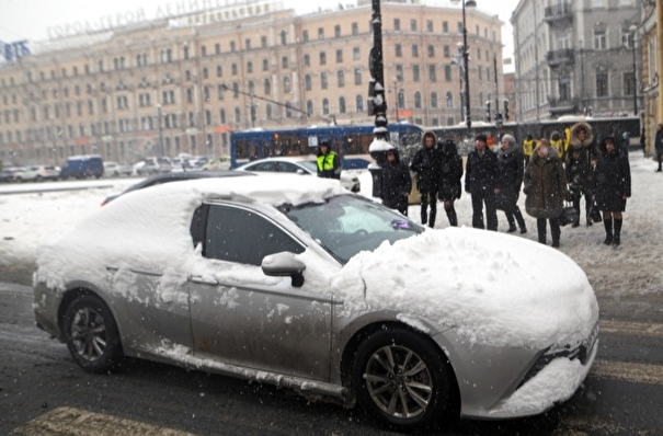 Первый снег выпал и растаял в Петербурге, в Ленобласти прошел снегопад
