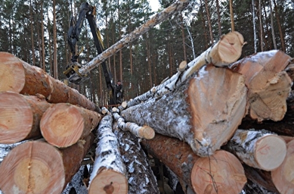Объем незаконных рубок леса в Иркутской области сократился почти на 19%