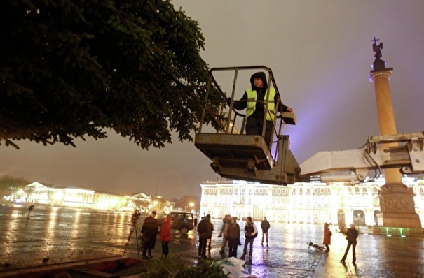 Дворцовую площадь Петербурга впервые за семь лет украсит живая новогодняя ель