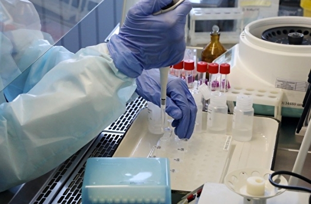 Специалисты "Вектора" изобрели средство от SARS-CoV-2 на основе березового гриба