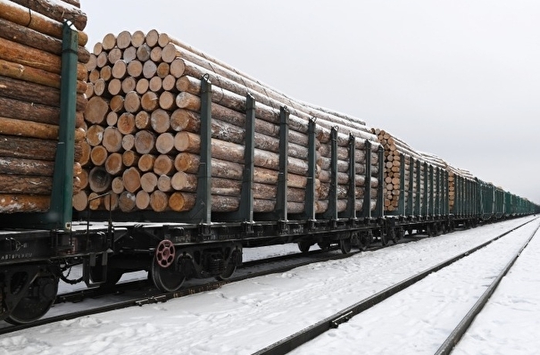 Почти 30 вагонов леса вывезли контрабандой в Китай из Томской области
