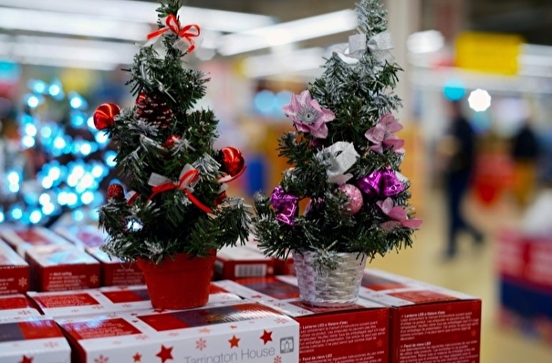 31 декабря в Ленинградской области будет выходным для бюджетников