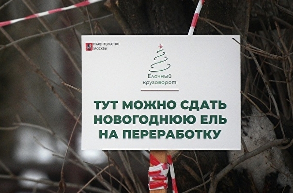 Около 500 пунктов сбора новогодних елей заработает в Москве со 2 января
